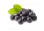 Black chokeberry