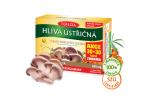 Hlíva ústřičná s rakytníkovým olejem