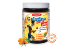 Gelatina plus jellies
