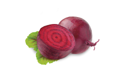 Beetroot