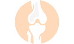 Bones, joints