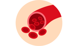 Blood production