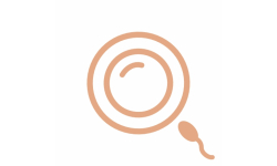 Fertility