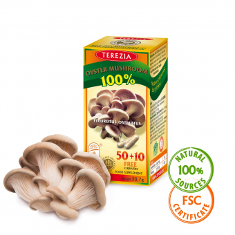 Oyster mushroom