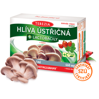 Hlíva ústřičná + lactobacily