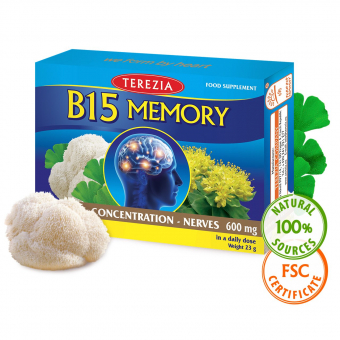 B15 MEMORY