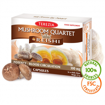 Mushroom quartet with reishi