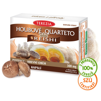 Houbové quarteto s reishi