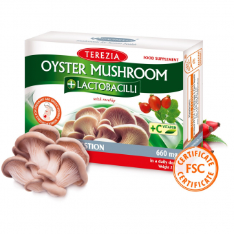 Oyster mushroom + lactobacilli