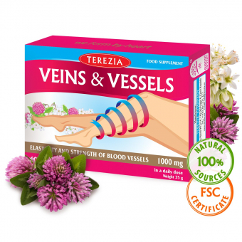 VEINS & VESSELS