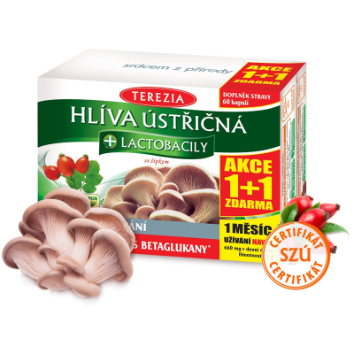 Hlíva ústřičná + lactobacily