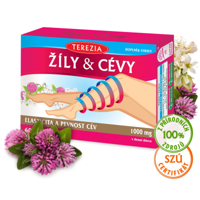 ŽÍLY & CÉVY