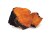 Chaga