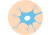 Nervous system