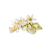 Buckwheat