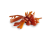 Bladderwrack