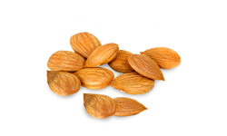 Apricot kernels