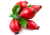 Rosehip