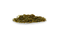 Laminaria dried seaweed