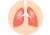 Respiratory system