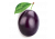 Plum