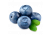 Blueberry