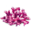 Aquamin Aquamin