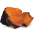 Chaga