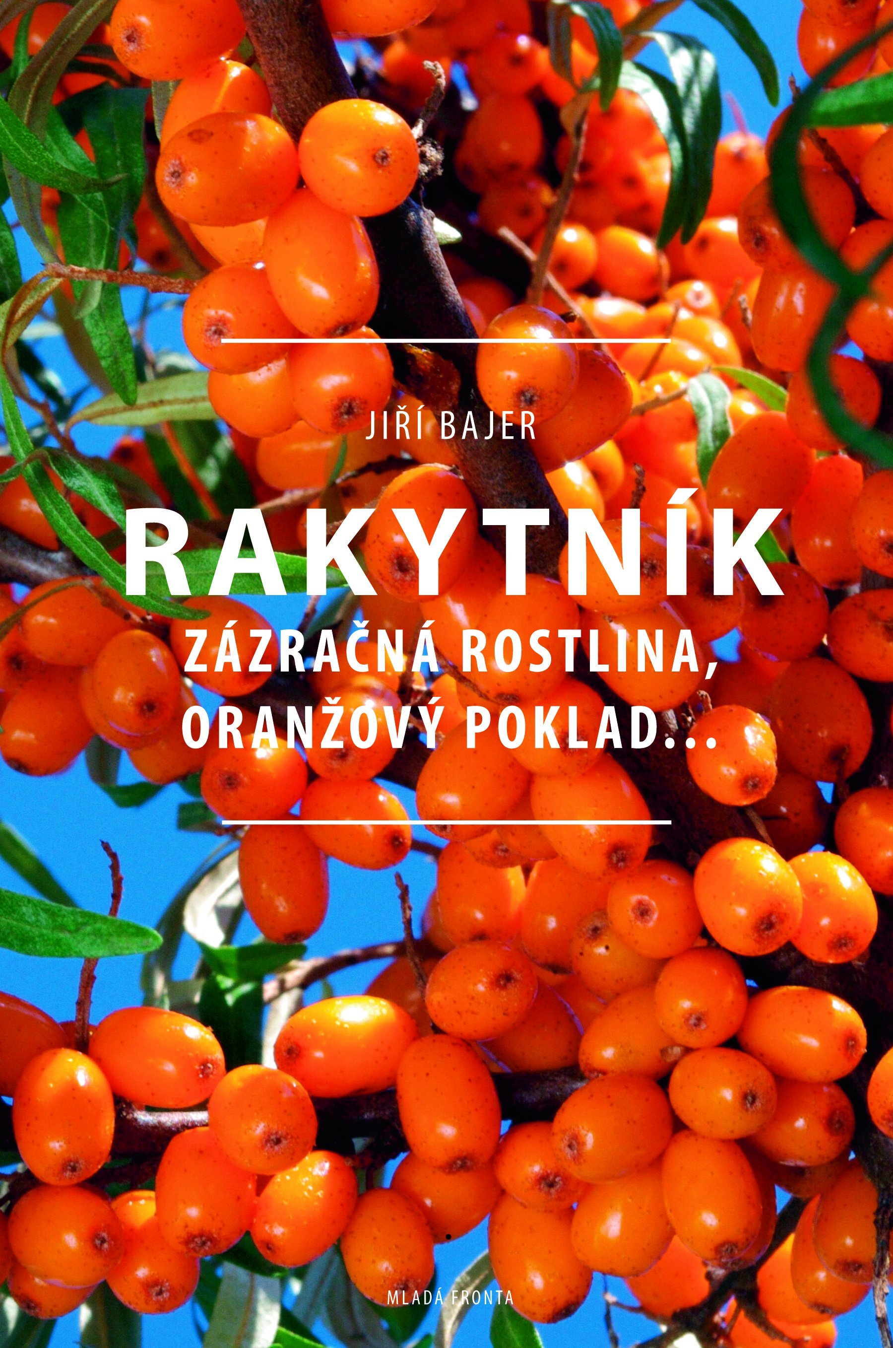 Levně Rakytník: Zázračná rostlina, oranžový poklad...