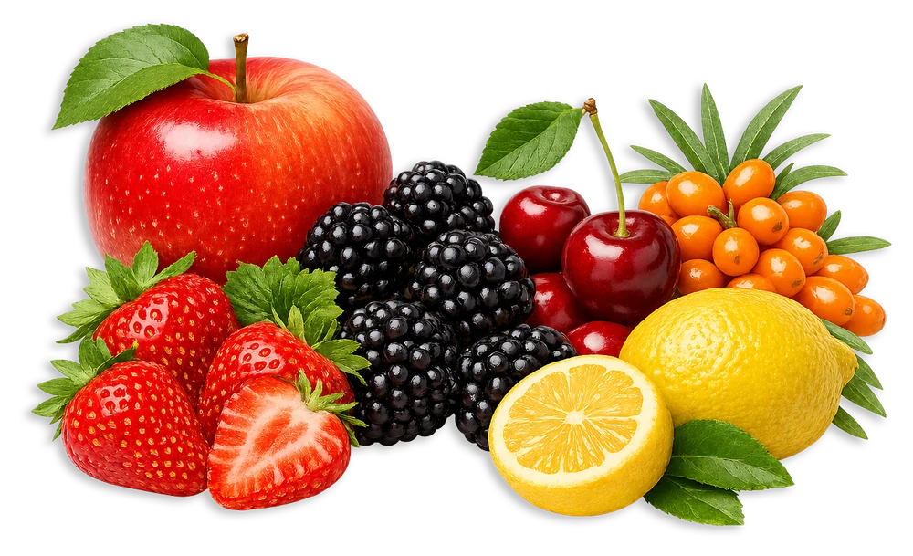 Výběr ovoce použitého pro ovocnou chuť RAKYTNÍČEK FRUTTY