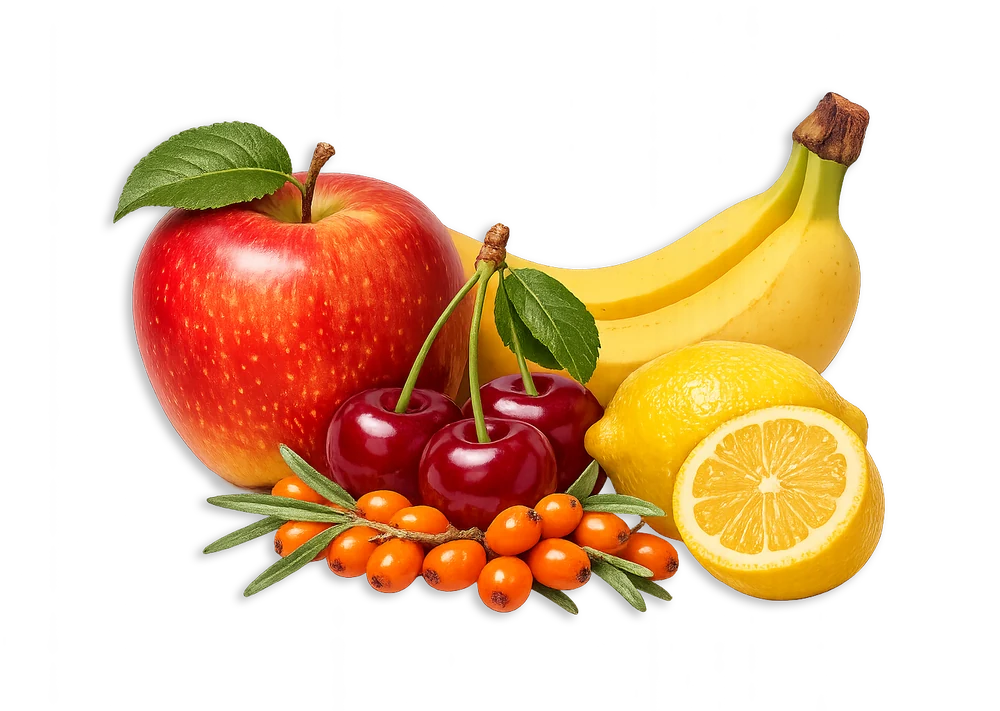 Výběr ovoce použitého pro ovocnou chuť RAKYTNÍČEK FRUTTY